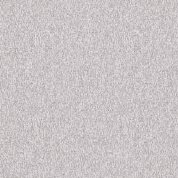 купить Rasch Cosmopolitan 576023
