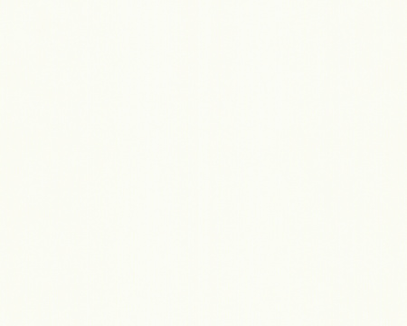 фото A.S.Creation Best of Vlies 2012 123817