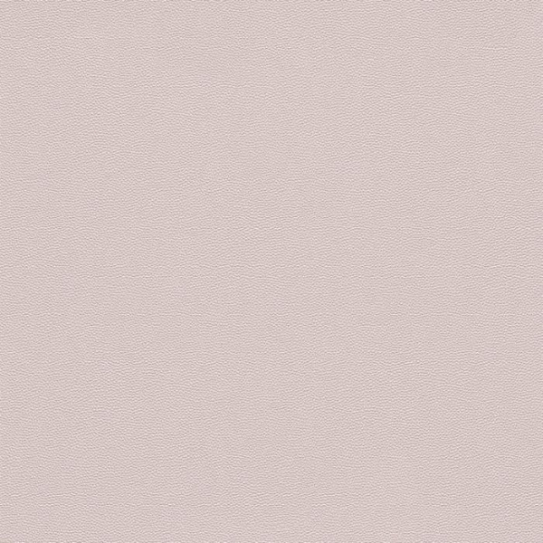 купить Rasch Cosmopolitan 576092