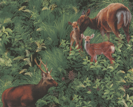 фото A.S.Creation Decora Natur 4 664419