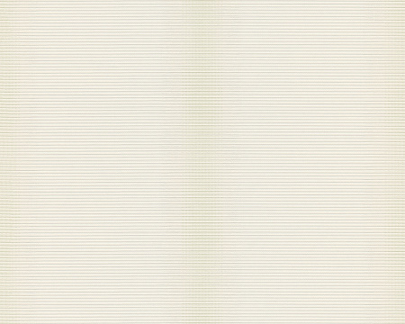 фото A.S.Creation Esprit 8 304636