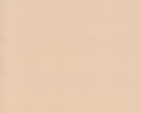 фото A.S.Creation Duetto 850027