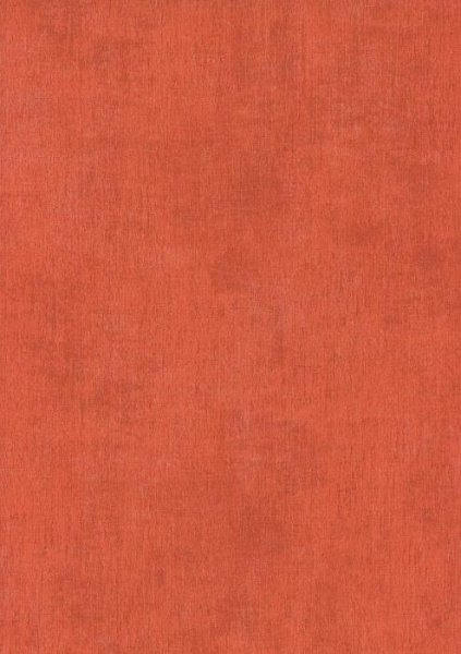 купить BN International Color Stories BN 48450