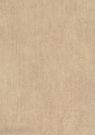 фото Emiliana Parati Future 44042