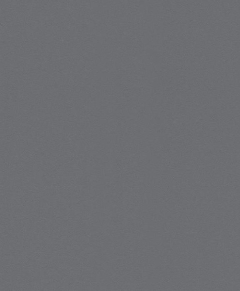 купить Rasch Modern Surfaces 2 607758