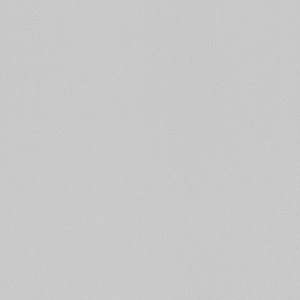 купить Rasch Modern Surfaces 2 518054