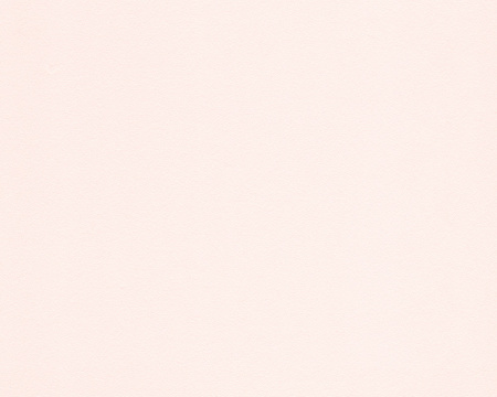 фото A.S.Creation Esprit 8 304827