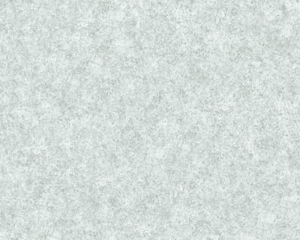 купить A.S.Creation Beton 362076