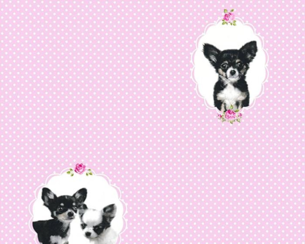 купить A.S.Creation Little Stars 35851-1