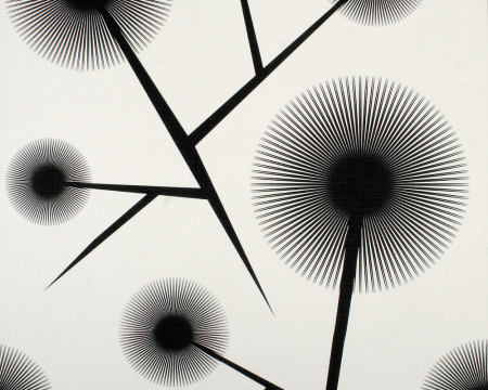 фото A.S.Creation Contzen 623812