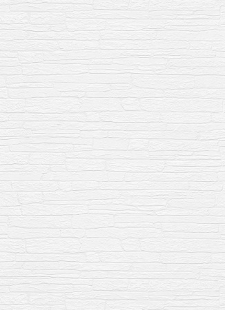 фото Erismann RollOver 5383-10 (5383-01)