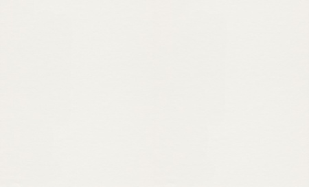 фото Rasch Wallton Dimension 342406