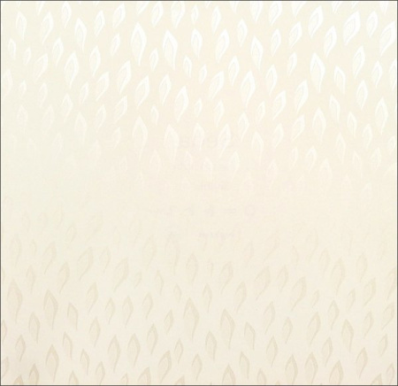 фото KT Exclusive Quod2 229C-01