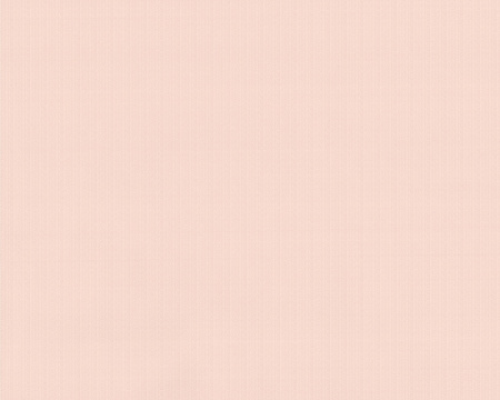 фото A.S.Creation Duetto 854629