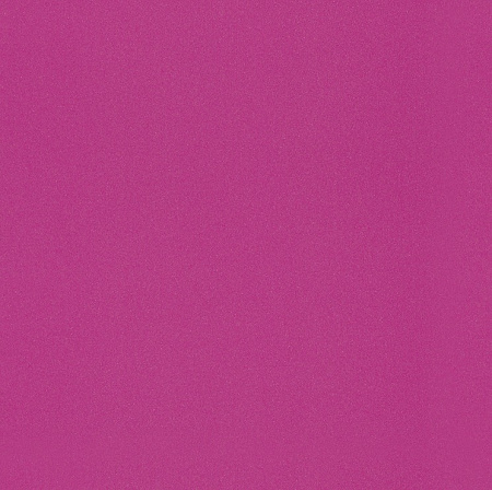 фото Rasch Kids' Club 2014 234527