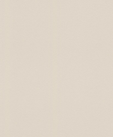 фото Rasch Modern Surfaces 2 607789