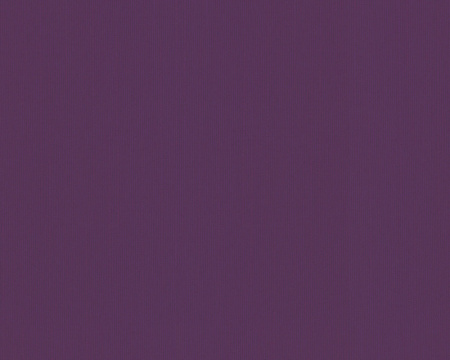 фото A.S.Creation Esprit 7 264855