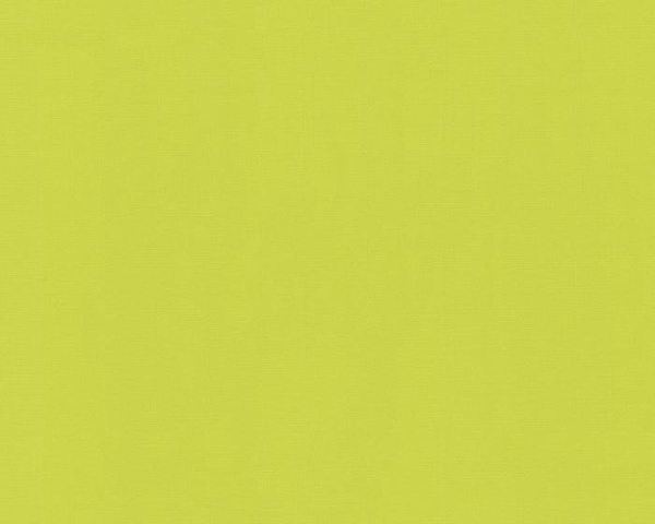 купить A.S.Creation Colour Courage 698926