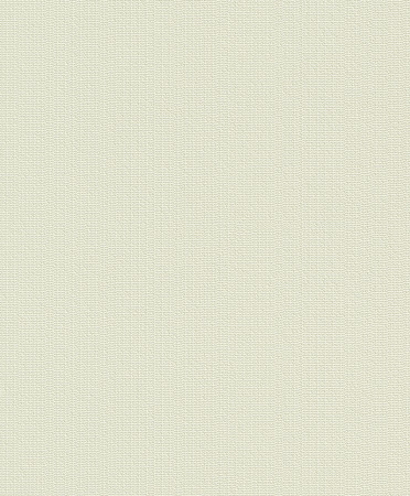 фото Rasch Naturalia 887334