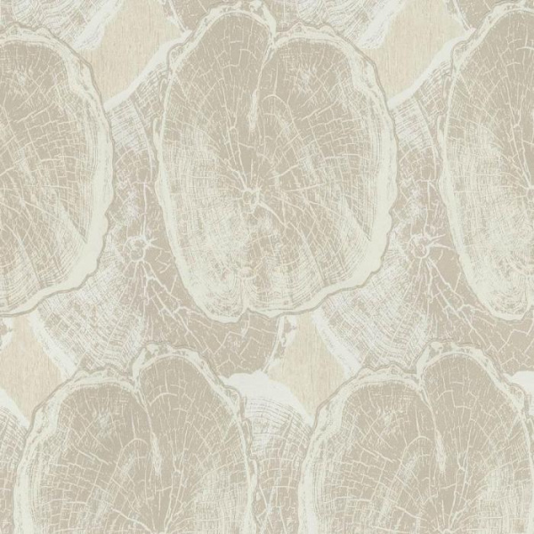 купить P+S International Studio Line 02429-30