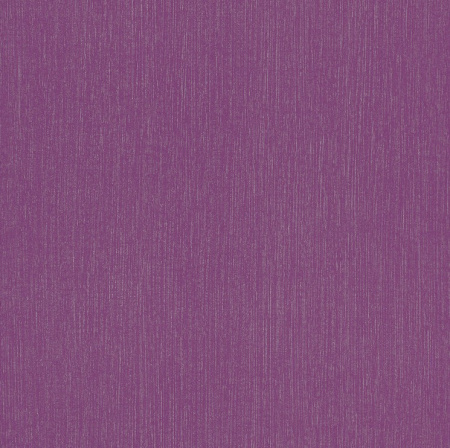 фото Rasch Kids' Club 2014 232738