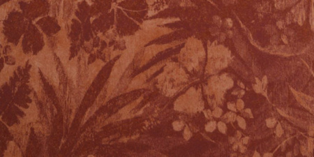 фото Hookedonwalls Tropical Chic 36004