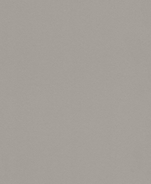купить Rasch Modern Surfaces 2 607734