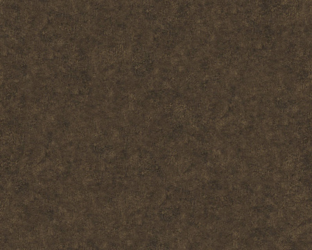 фото A.S.Creation Versace Wallpaper 2 96218-1