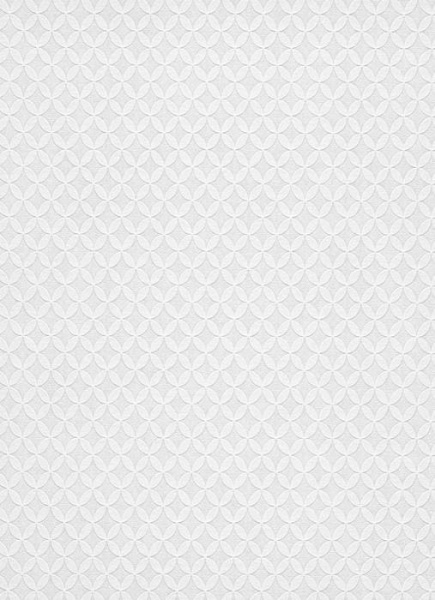 купить Erismann RollOver Deco 3 5304-10