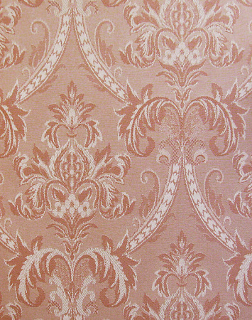 фото Calcutta Pride Pride_Pride309009