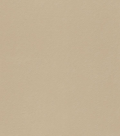 фото Rasch Black Forest 2016 514032