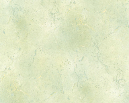 фото A.S.Creation Decora Natur 4 118738