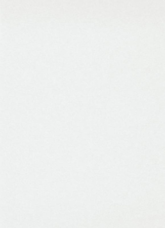 фото Erismann RollOver 3328-1 (плотность 120 гр.)