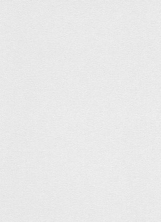 фото Erismann RollOver 3921-10 (3921-01)