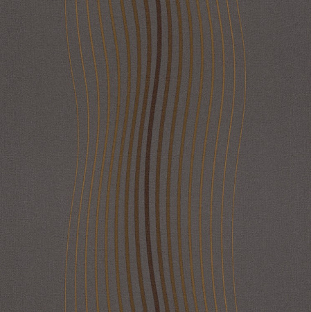 фото Rasch Seduction 2014 796407