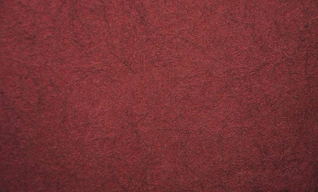 фото Rasch Gentle Divine 96634