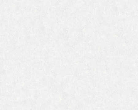 фото A.S.Creation Beton 363733