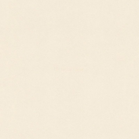 фото Rasch Passepartout 606324