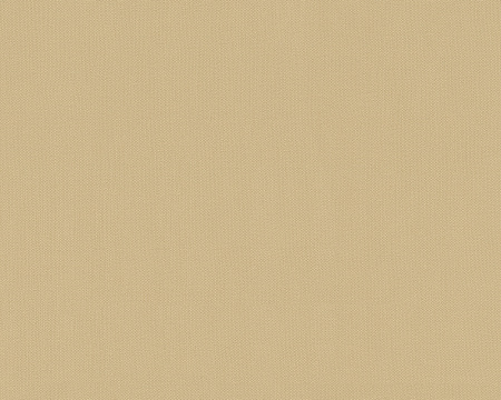 фото AS Creation Felicia 9667-42