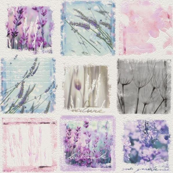 купить Rasch Tiles & More 2016 884708