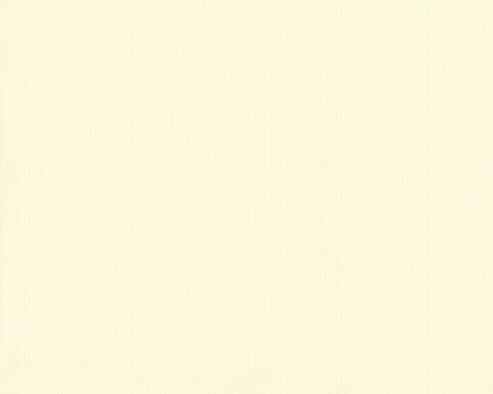 фото A.S.Creation Duetto 854612