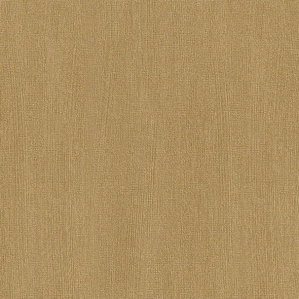 купить Rasch Intuicion 2011 733204