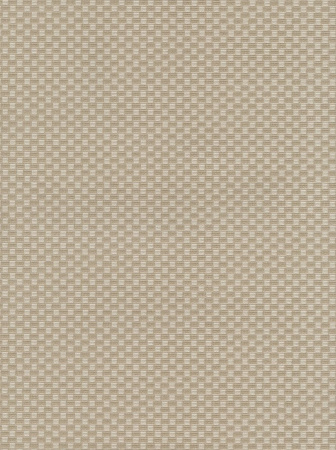 фото Emiliana Parati Future 44085