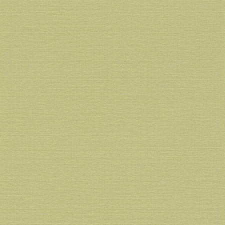 фото Rasch Plaisir 2015 732313