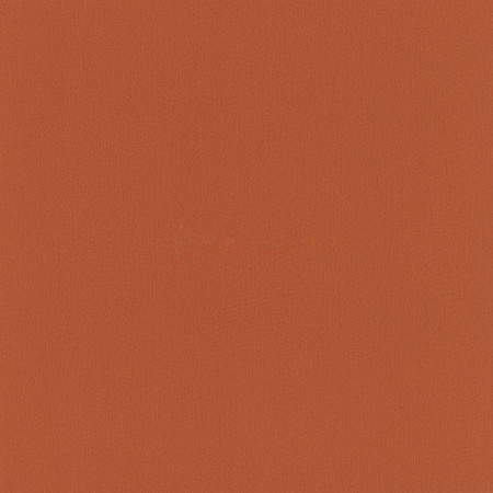 фото Rasch Seduction 2014 796223