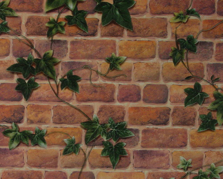 фото A.S.Creation Decora Natur 4 806413