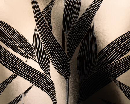 фото A.S.Creation Chroma 176523