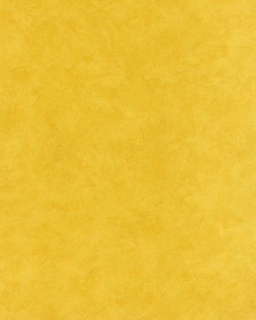 фото Caselio Tour Du Monde TDM6047-20-20