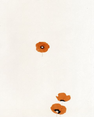 фото Caselio Romarin RMA6025-30-79