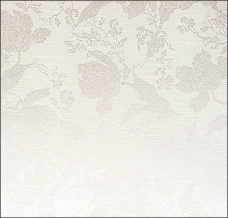 фото KT Exclusive Quod2 221C-02